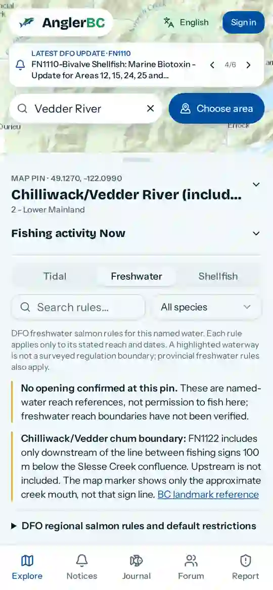 Fishing activity now